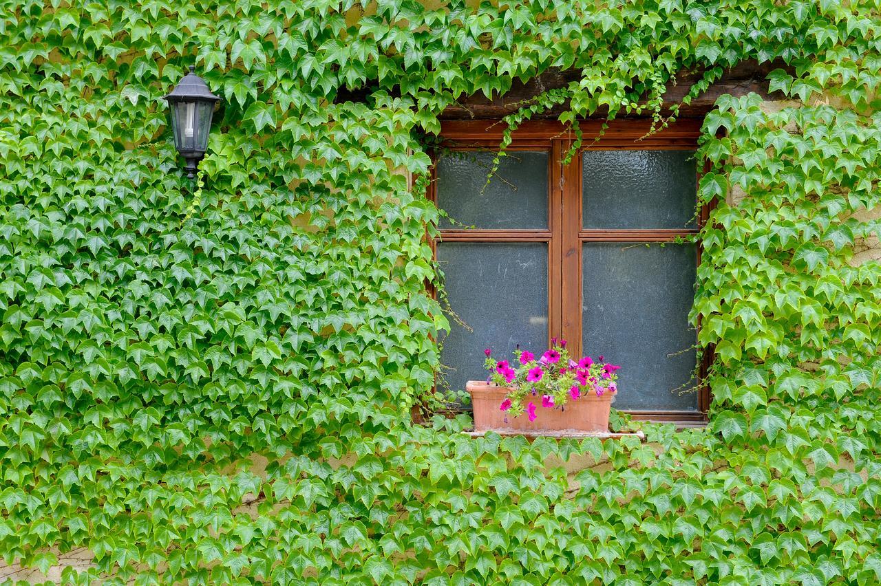 Hotel Font Del Pas Beceite Zewnętrze zdjęcie